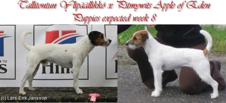 393860_2926003355126_972657981_n