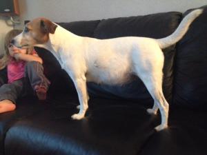 1098471_10201792305395313_1288817008_n