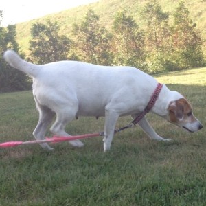 64301_10201771670599456_1882368934_n