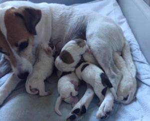 945979_10201934477829535_67083995_n