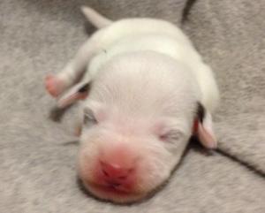 1157424_10201967069004294_209368625_n