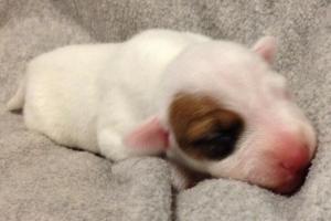 1175554_10201967067764263_414057455_n