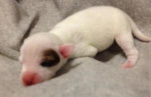 1184777_10201967068164273_1519840017_n