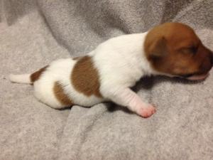 1239494_10201967068484281_1281069197_n