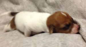 543411_10201967069244300_906369309_n