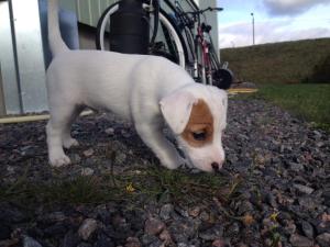 1374143_10202255181846935_94065376_n