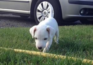 1378264_10202255180206894_244762911_n