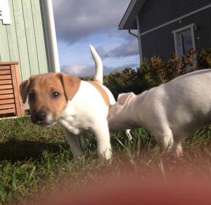 1385491_10202255197487326_193782707_n