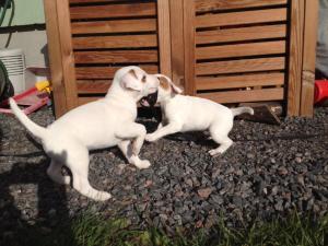 1385678_10202255182686956_131443151_n