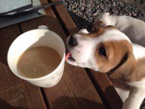 1393557_10202255182006939_1604268079_n