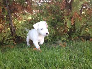 9774_10202255180526902_1279013362_n