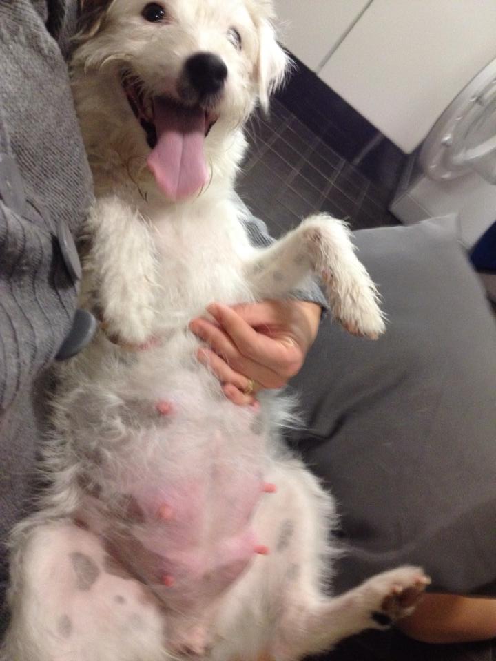 1462860_10205092106728284_7520453636891950868_n