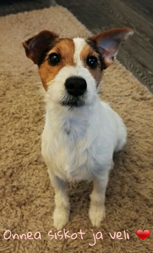 15800443_10209669320522861_5228202739928584235_o