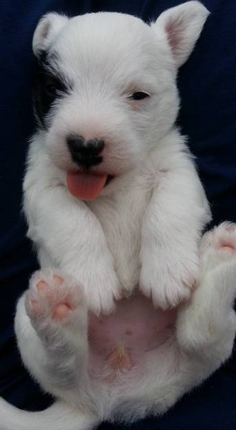 19225952_10213287683212574_8319772798779548933_n