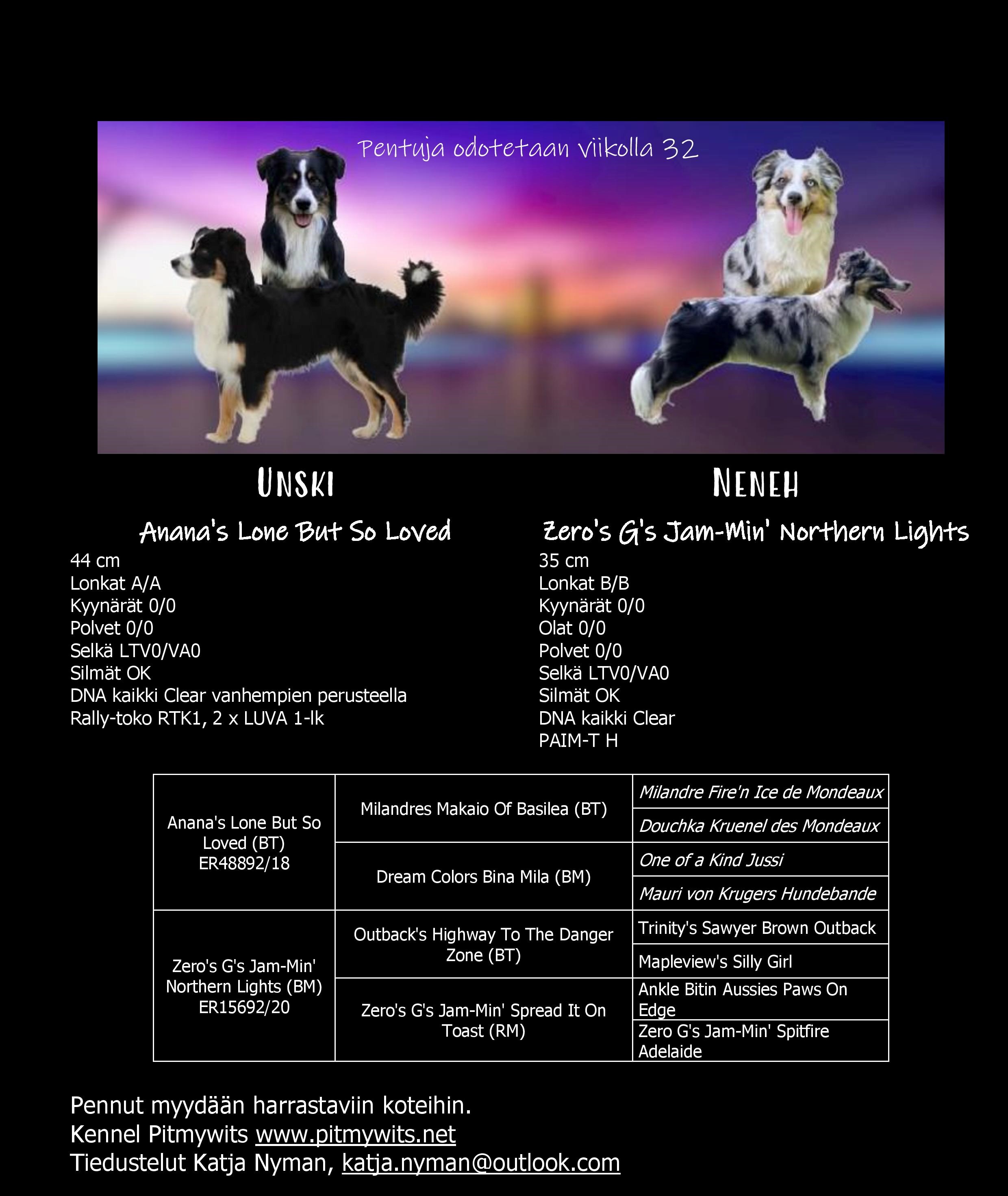 Mainos - Copy_FI_kotis-page-001